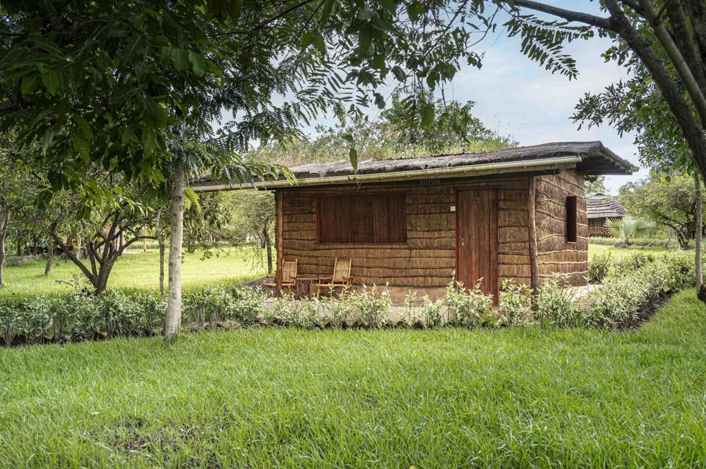 Eco Grass Banda 4 Bed – Double Bed, 2 Singlebed